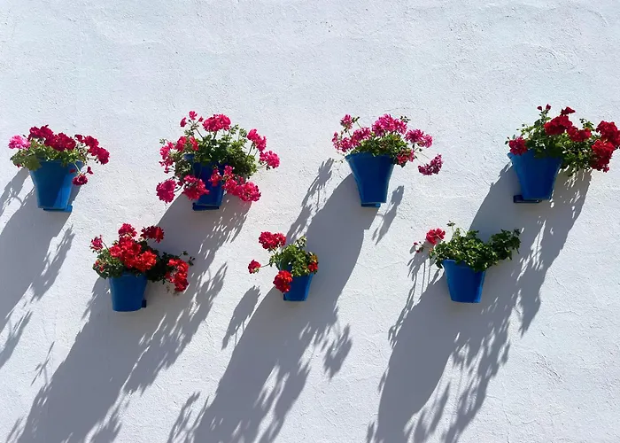 Apartment La Buganvilla Cordoba