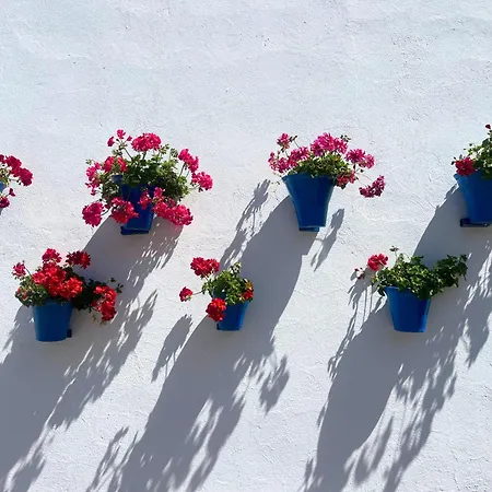 Apartamento La Buganvilla Córdoba